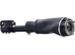 Ridex 4118A0071 - Puntone Sospensione Pneumatica Oe Lr 032563, Anteriore Sinistro Per Range Rover Iii (L322)