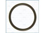 Ajusa 16087300 Guarnizione Collettore Di Aspirazione Per CitroËN Jumper Furgone (230L) Per Jeep Grand Cherokee Iv (Wk, WK2) Per Chrysler Pacifica Mpv (Ru) Per Dodge