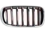 Van Wezel 0690514 - Griglia Radiatore Oe 51137316062, Destra Per X5 (F15, F85)