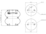 Febi Bilstein Soffietto Pneumatico 177160 Per CitroËN C3 Ii (Sc) 260 75 Mm 160 Mm 2,9 Kg