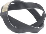 Ridex 305P0487 - Oe 90048 31070 Keilrippenriemen Per Movano (X70), Crafter (2E), Crafter (2F)
