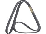 Ridex 305P0506 - Oe 25212 27000 Keilrippenriemen Per Elantra (Xd), Grandeur (Tg), Santa Fe I (Sm), Santa Fe Ii (Cm), Sonata V (Nf), Tucson (Jm), Carens Ii (Fj), Carens Iii (Un), Cerato (Ld), Magentis, Sportage (Je, Km)