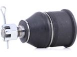 Ridex 2462S0550 - Oe 51220S04003 Giunto Sferico Inferiore Anteriore Per Civic V, Civic Vi, CR-V I (Rd), Crx Iii (Eg, Eh), Integra (DC2, DC4)