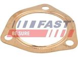 Fast FT84590 - Guarnizione Oe 172929, Tubo Di Scarico Per Jumper, Ducato, Boxer