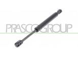 Prasco AA0909065 - Oe 50508010 Ammortizzatore Portellone Posteriore Per 159 (939)