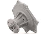 Ridex 1260W0447 - Oe 21010 44G00 Pompa Acqua Per Pick-Up (D21)