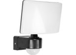 Proiettore Led Per Esterni Adviti Tos Con Rilevatore Di Movimento 30W IP65 (Nero)
