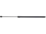 Ridex 514G0163 - Oe 203 880 00 29 Ammortizzatore Del Cofano Per Classe C (W203), Classe C (CL203), Classe C (S203), Clk (C209), Clk (A209)