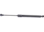 Ridex 219G0997 - Ammortizzatore Portellone Posteriore Oe 51248227895 Per Serie 3 (E46)