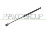 Prasco VG0169055 - Ammortizzatore Posteriore Oe 6N0827550A Per Polo (6N)