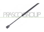 Prasco FT4209055 - Ammortizzatore Posteriore Oe 46784994 Per Stilo