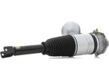 Ridex 4118A0081 - Oe 4E0 616 001 D Puntone Sospensione Pneumatica, Posteriore Sinistro Per A8 (4E), Phaeton (3D)