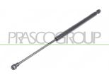 Prasco FT1249065 - Ammortizzatore Posteriore Oe 51841634 Per Panda
