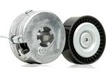 Ridex 310T0310 - Puleggia Tenditore Oe 06H 903 133 F, Cinghia A V Per A4 (8K), A5 (8T), A5 (8F), Q5 (8R), Exeo (3R), Amarok, T5, T6
