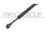 Prasco ME8209005 - Ammortizzatore Del Cofano Oe A1638800029 Per Classe M (W163)