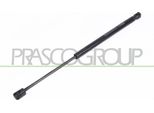 Prasco RN4209055 - Ammortizzatore Posteriore Oe 8200051750 Per Megane Ii