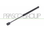 Prasco HN8029065 - Ammortizzatore Posteriore Oe 871702E020 Per Tucson (Jm)