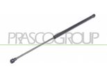 Prasco ST4229055 - Ammortizzatore Posteriore Oe 1P0827550A Per Leon (1P1)