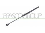 Prasco CI3049055 - Ammortizzatore Posteriore Oe 8731H8 Per C2 (Jm)