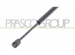 Prasco BM8029005 - Ammortizzatore Del Cofano Oe 51233400352 Per X3 (E83)