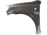 Blic 6504-04-1135311P - Parafango Oe 96649245, Anteriore Sinistro Per Aveo (T200), Aveo (T250, T255)