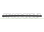 Prasco OP0301414 - Oe 9227283 Modanatura, Anteriore Sinistra Per Corsa C (X01)