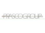 Prasco OP0301424 - Oe 24468115 Modanatura, Anteriore Sinistra Per Corsa C (X01)