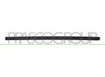 Prasco OP0301413 - Oe 9227284 Modanatura, Anteriore Destra Per Corsa C (X01)