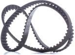 Ridex 306T0078 - Oe 081673 Zahnriemen FüR Xsara, Zx (N2), Ulysse, 306, 406
