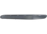 Blic 6502-07-3515933P - Oe 2038852121 Striscia Di Rivestimento, Paraurti Anteriore Sinistro Per Classe C (W203), Classe C (S203)