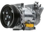 Delphi CS20651 6V12 Compressore Aria Condizionata Pag 46 Per Renault Clio Iii Hatchback (BR0/1, CR0/1) Twingo Ii (CN0) Modus / Grand Modus (F/JP0)
