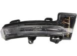 Blic 5403-43-1313106P - Indicatore Di Direzione Oe 5E0 949 102, Destro Per Octavia Iii (5E)