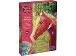 Sentosphere - Cavallo Immagine Con Strass