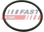 Fast FT49460 Guarnizione, Collettore Di Aspirazione Oe 1661800QAA Compatibile Con Scenic, Megane, Logan, Laguna, Kangoo, Duster, Clio, Sandero