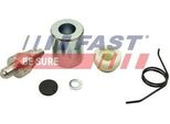 Fast FT95821 - Oe 1616813880 Guida A Rullo, Porta Scorrevole Per Jumper, Ducato, Boxer