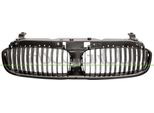 Prasco BM1002001 - Griglia Radiatore Oe 51137037727 Per Serie 7 (E65)