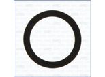 Ajusa 16079900 Guarnizione Collettore Di Aspirazione Per Bmw 3 Touring (E91) 3 Berlina (E90) 5 Berlina (E60) 5 Touring (E61) X3 (E83) X1 (E84)