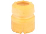 Ammortizzatore Puntone Toyota Anteriore C-Hr 16-
