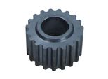 Ingranaggio Dell'albero Motore Dacia Duster/ Logan/ Clio/ Kangoo/ Laguna/ Megane/ Scenic/ Thalia/ Twingo