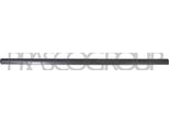 Prasco VG0521414 - Oe 3B0853515B41 Modanatura Anteriore Sinistra Per Passat (3B)