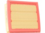 Ridex 8A0642 - Filtro Aria Oe 51977574 Per 500X (334), Compass, Renegade