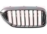 Van Wezel 0550514 Griglia Radiatore Griglia Anteriore Per Bmw 5 Touring (G31) Destra Cromata