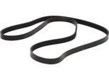 MASTER-SPORT 5PK1809-PCS-MS Cinghia A V, Cinghia Piatta Per Bmw 3 (E36)