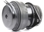 Ridex 247E0201 - Supporto Motore Oe 1H0 199 262 B, Posteriore Destro Per Cordoba (6K), Ibiza (6K), Inca (6K), Toledo I (1L2), Caddy Ii (9K), Golf Iii (1H), Golf Cabriolet (1E), Passat (35I), Polo (6V), Vento (1H)