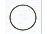 Guarnizione Termostato Vw Passat 2.5Tdi 03-