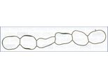 Guarnizione Collettore Di Aspirazione Citroen C5 3.0 01-