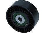 Rullo Cinghia Multi-Corrente Citroen 2,0 Bluehdi