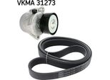 Set Cinghia Multipla Vw 1,6Tdi-2,0Tdi
