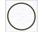 Guarnizione Valvola Egr Vw 1.9/2.0 Tdi