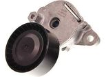 Tenditore Cinghia Multiruota Citroen 2,2 Bluehdi